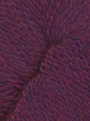 12 Deep Plum Passion